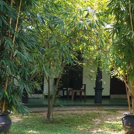 דמבולה Sandra Guesthouse מראה חיצוני תמונה