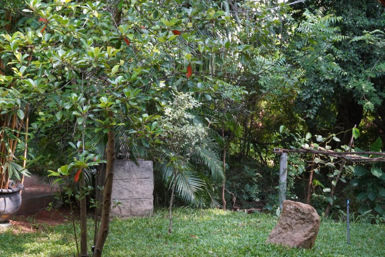 דמבולה Sandra Guesthouse מראה חיצוני תמונה