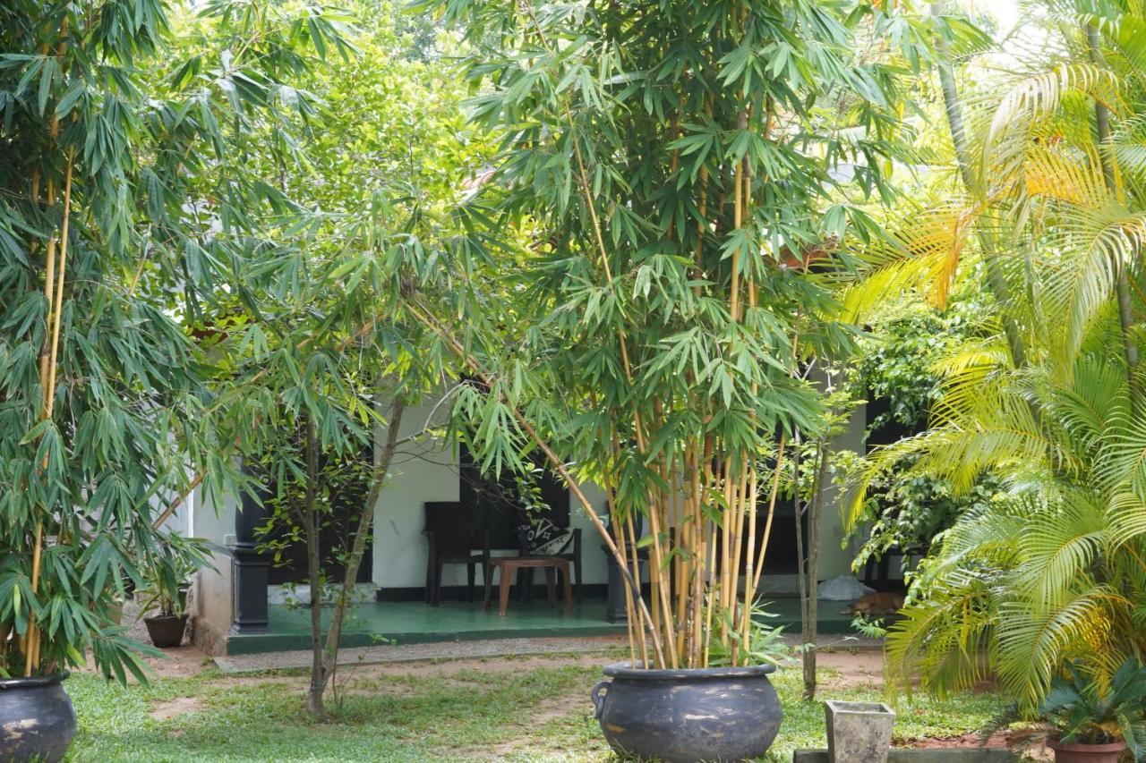 דמבולה Sandra Guesthouse מראה חיצוני תמונה