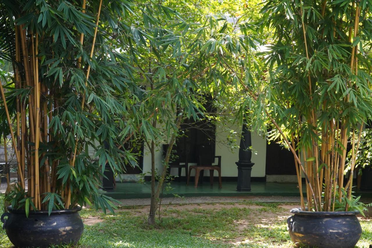 דמבולה Sandra Guesthouse מראה חיצוני תמונה